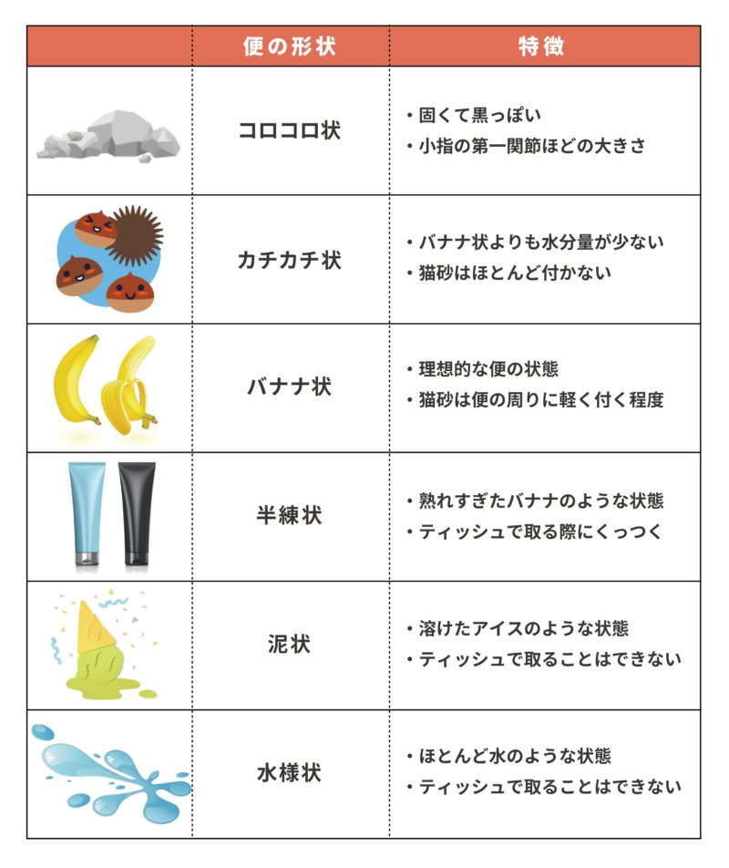 動物看護師が教える 軟便 下痢時のキャットフードのおすすめ3選と対処法 キャットフードの手帖