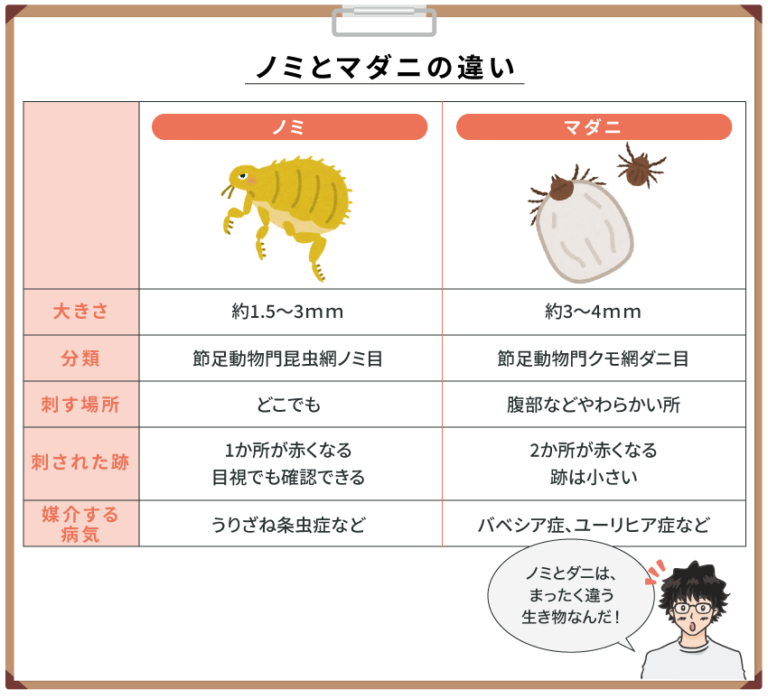 絶対につぶさないこと!猫ノミの症状と安全な駆除方法を動物看護師が解説します - キャットフードの手帖
